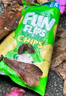 Fun Chips Packet